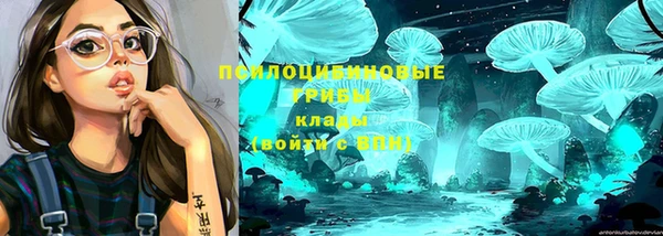 а пвп мука Нея